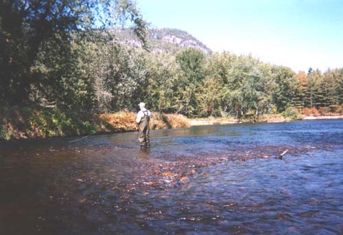 Fishing on the Androscoggin river near Gilead 